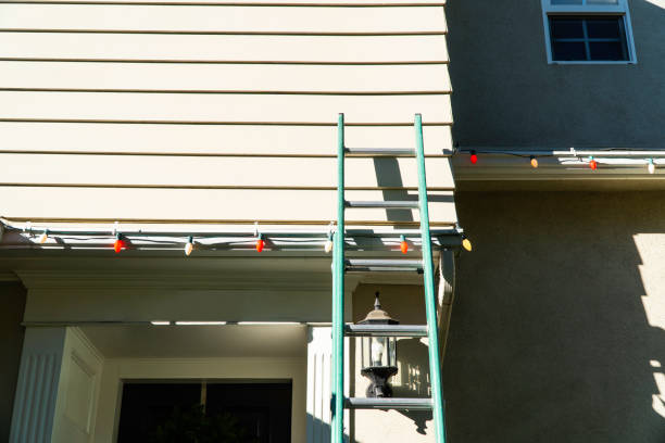 Best Fascia and Soffit Installation  in White Bear Lake, MN